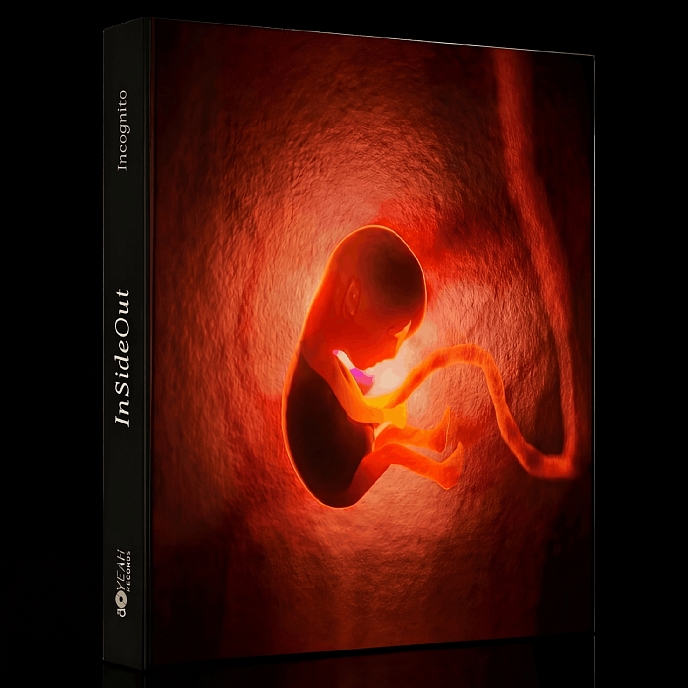 Бокс-сет Vinyl Vision 3000 - Incognito (Inside Out) (box) LP - рис.0