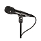 Audio-Technica AT2010