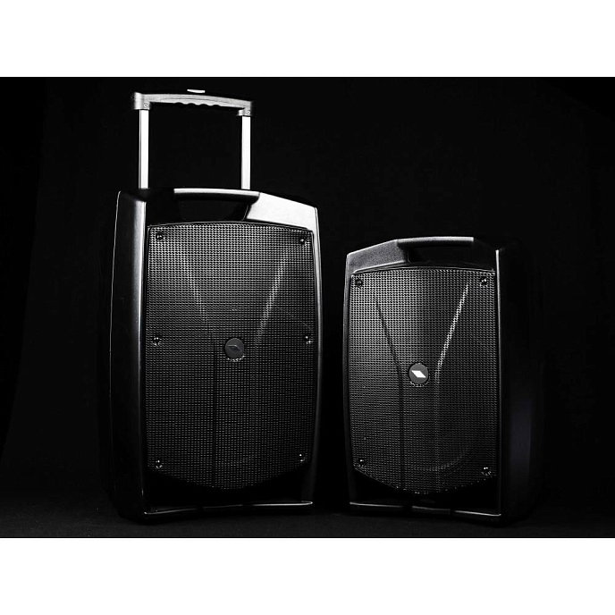 Акустическая система Proel V10Free Black - рис.9