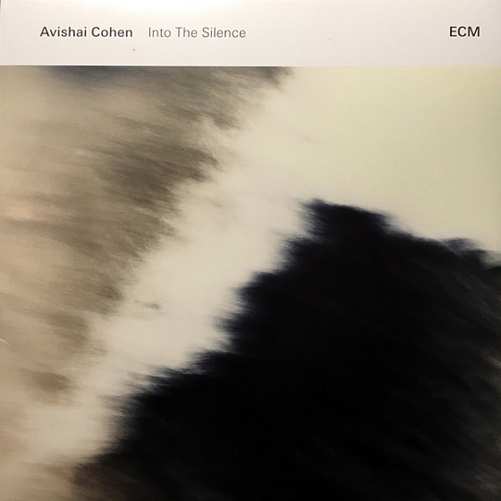 Пластинка Avishai Cohen - Into The Silence - рис.0