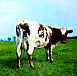 Пластинка Pink Floyd - Atom Heart Mother - рис.1