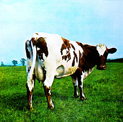 Пластинка Pink Floyd - Atom Heart Mother