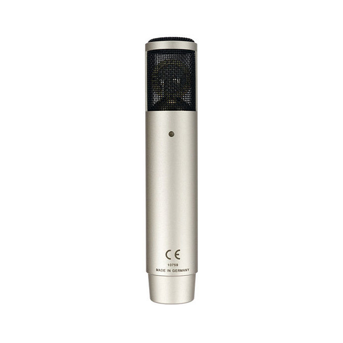 Микрофон студийный Sennheiser MKH 800 Twin Ni - рис.1