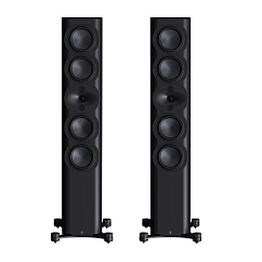 Напольная акустика Perlisten Audio R7t Piano Black