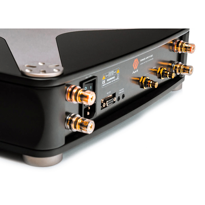 Усилитель мощности Aavik P-580 Black - рис.6