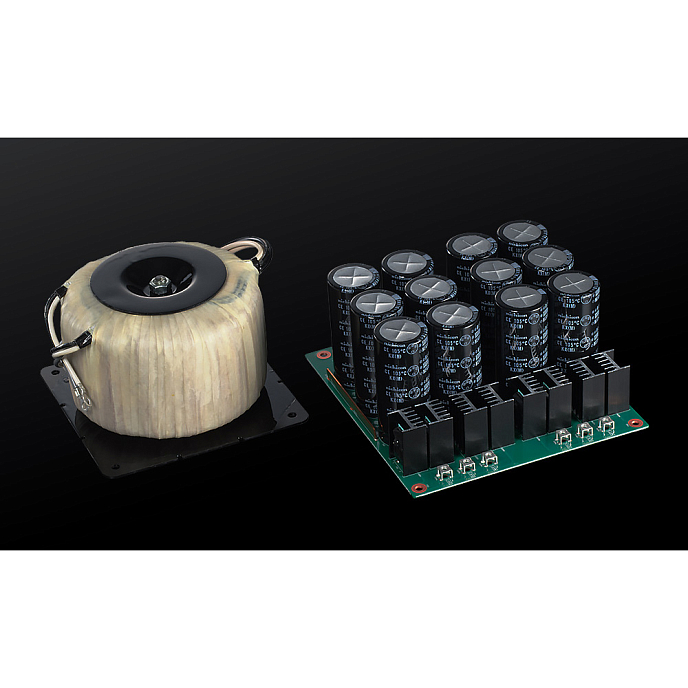 Усилитель мощности Esoteric Grandioso S1X Silver - рис.7