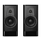 Dynaudio Contour 20 Black High Gloss