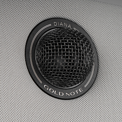 Полочная акустика Gold Note Diana l Silver Black