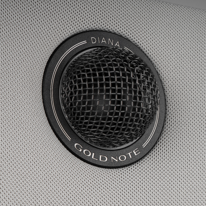 Полочная акустика Gold Note Diana l Silver Black - рис.1