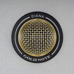 Центральный канал Gold Note Diana Center Silver Gold