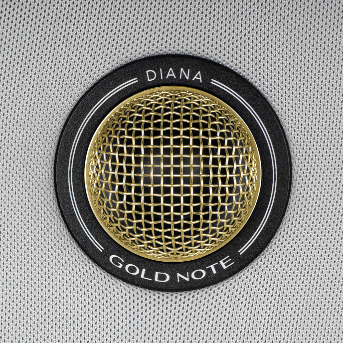 Центральный канал Gold Note Diana Center Silver Gold - рис.1