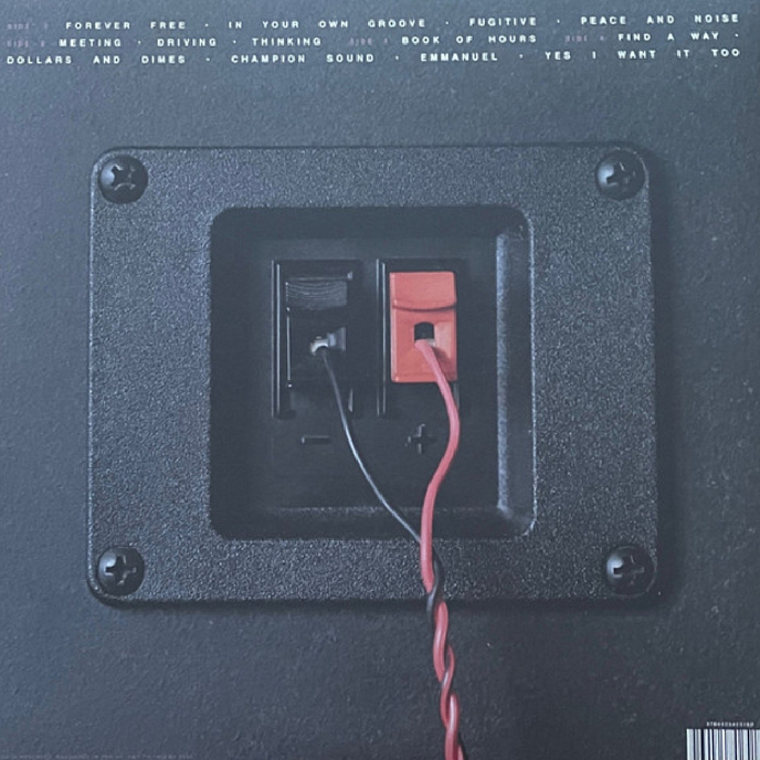 Виниловая пластинка Faithless - Champion Sound (Black - White Splatter) LP - рис.8