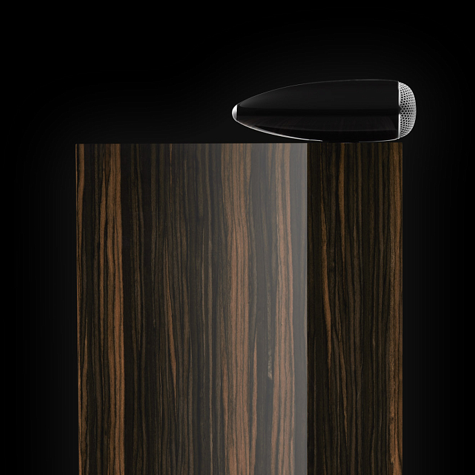 Напольная акустика Bowers & Wilkins 702 Signature Datuk Ebony Wood - рис.3