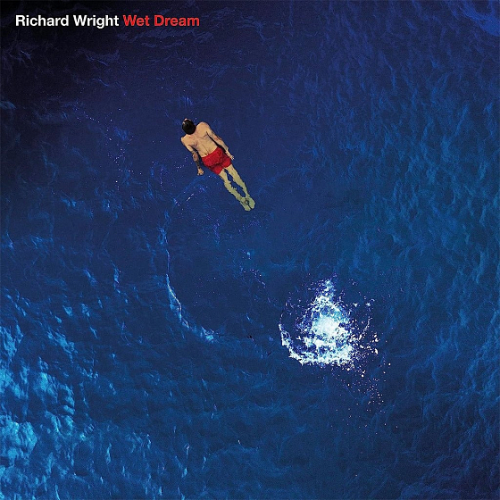 Пластинка Richard Wright – Wet Dream (Blue Marbled) LP - рис.0