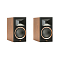 Martin Logan Motion B10 Walnut