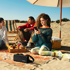 Портативная колонка Sony ULT FIELD 3 Grey