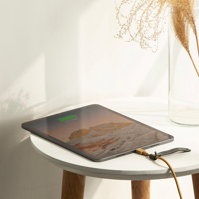 Кабель Native Union Belt Cable Type-C 60w Kraft 1.2m - рис.4