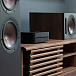 Интегральный усилитель Bluesound POWERNODE (N331) Black - рис.4