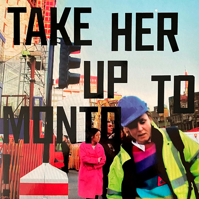 Пластинка Roisin Murphy - Take Her Up To Monto (Coloured) LP - рис.0