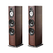 Напольная акустика Sonus Faber Sonetto VIII G2 Wenge - рис.0