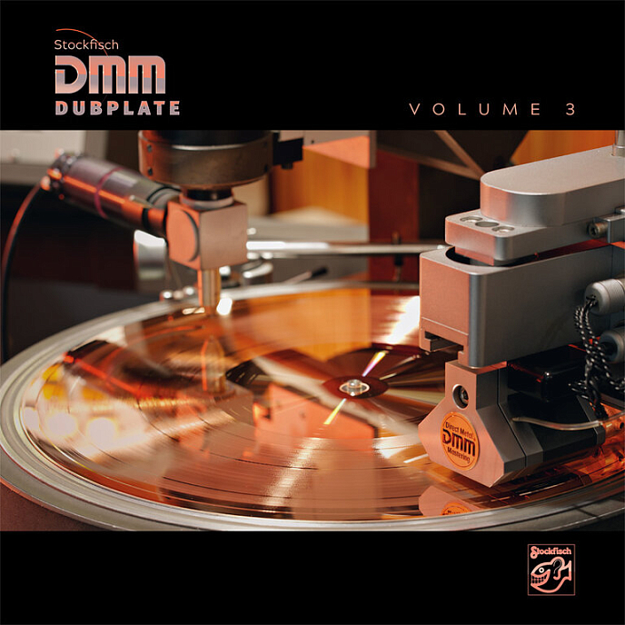 Пластинка Various - Stockfisch DMM Dubplate Vol.3 LP - рис.0
