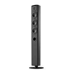 Напольная акустика Piega Ace 50 Black