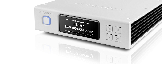 Сетевой аудиоплеер Aurender N100C 2Tb Silver - рис.4