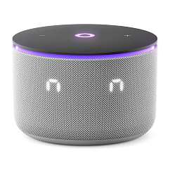 Умная колонка Яндекс Станция Мини 3 Про с Zigbee Grey