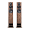 PMC Twenty5.26 Walnut