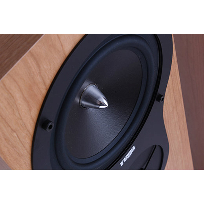 Полочная акустика Rega RX1 Cherry - рис.5