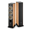 Focal Aria Evo X N2 Walnut