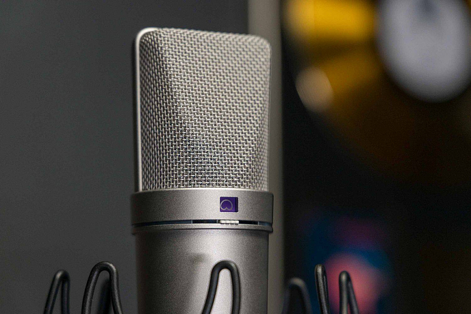 Микрофон студийный Neumann U 87 AI MT Black - рис.7