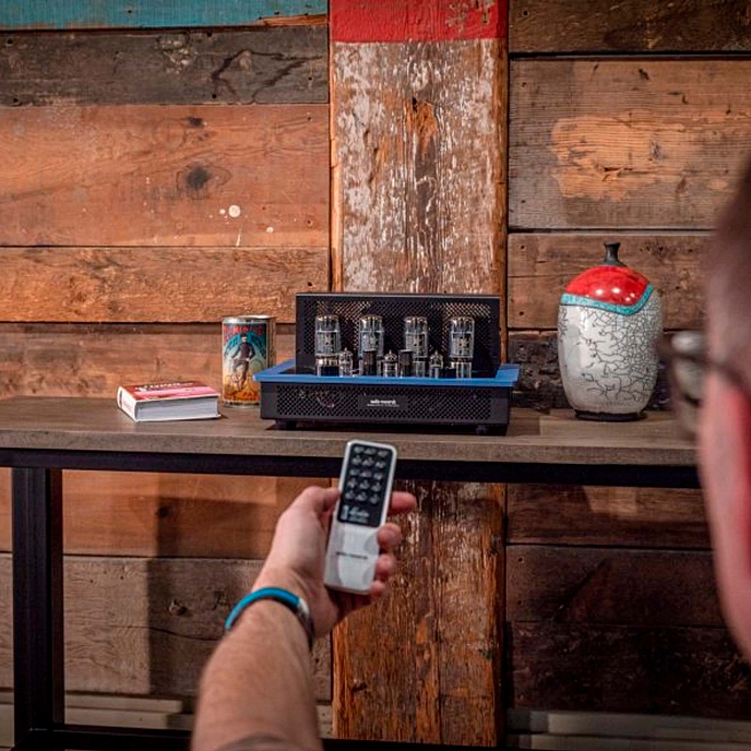 Интегральный усилитель Audio Research I/50 Blue/Black - рис.3