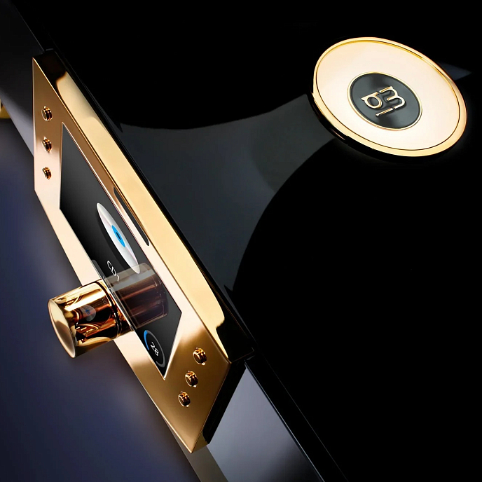 Предусилитель MBL N11 Preamplifier Piano Black Gold - рис.3