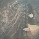Виниловая пластинка Isao Suzuki - My Spare Time LP - рис.3