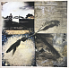 Виниловая пластинка Neil Young; Promise Of The Real - The Visitor - рис.2