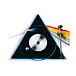 Проигрыватель винила Pro-Ject The Dark Side Of The Moon Pick IT Pro SE - рис.3