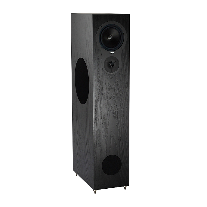 Напольная акустика Rega RX5 Black Ash - рис.1