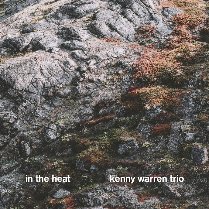 Виниловая пластинка Kenny Warren Trio - In The Heat LP - рис.0