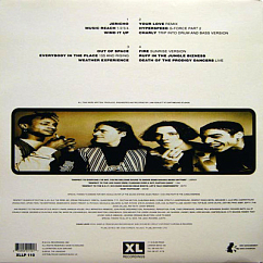 Пластинка The Prodigy - Experience