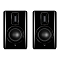 Quad Revela 1 Walnut Black