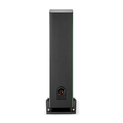 Напольная акустика Focal Aria Evo X N4 Green Moss