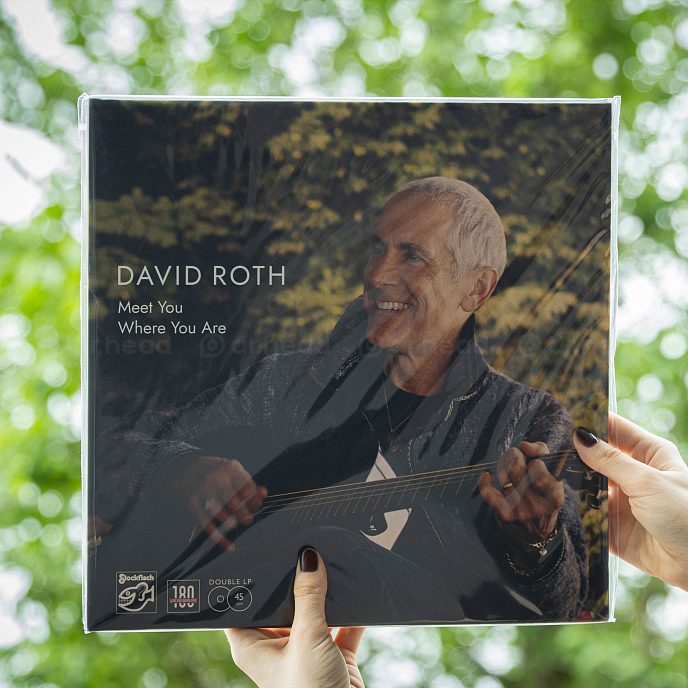 Виниловая пластинка David Roth - Meet You Where You Are 2LP - рис.2