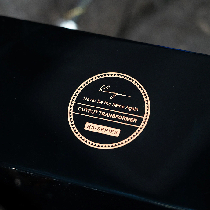 Усилитель для наушников Cayin HA-6A MK2 Black - рис.10