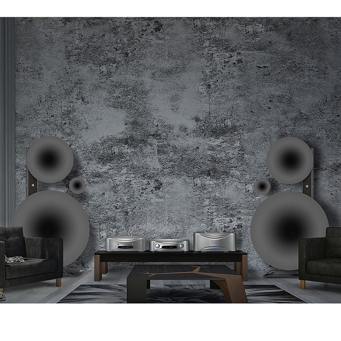 CD проигрыватель Esoteric Grandioso K1X SE Silver - рис.9