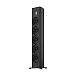 Напольная акустика Piega Premium 701 Wireless Gen.2 Black - рис.1