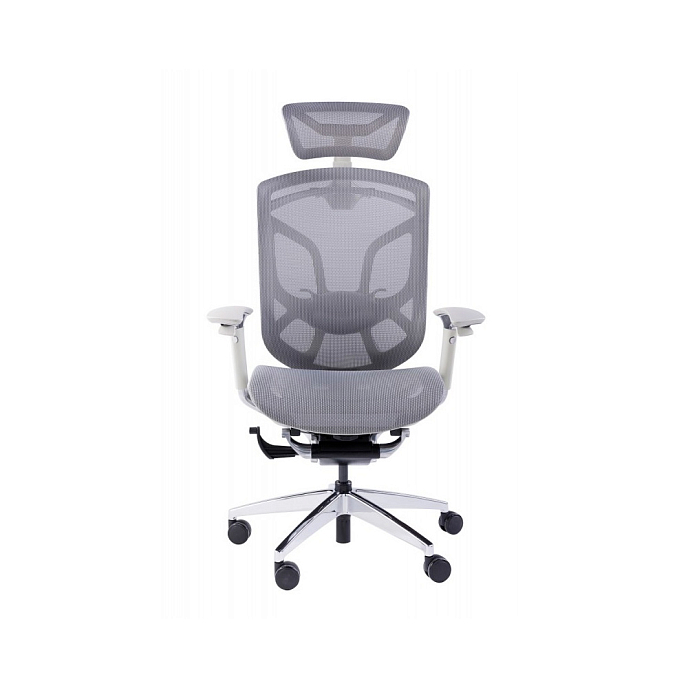 Компьютерное кресло GTChair Dvary X grey - рис.1