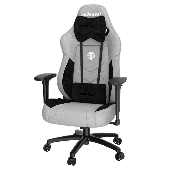 Компьютерное кресло AndaSeat T Compact Grey - рис.0