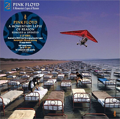 Пластинка Pink Floyd - A Momentary Lapse of Reason 2LP