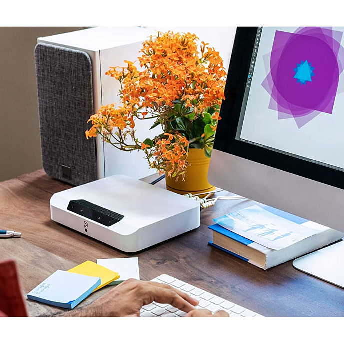 Сетевой аудиоплеер Bluesound PowerNode N230 White - рис.4